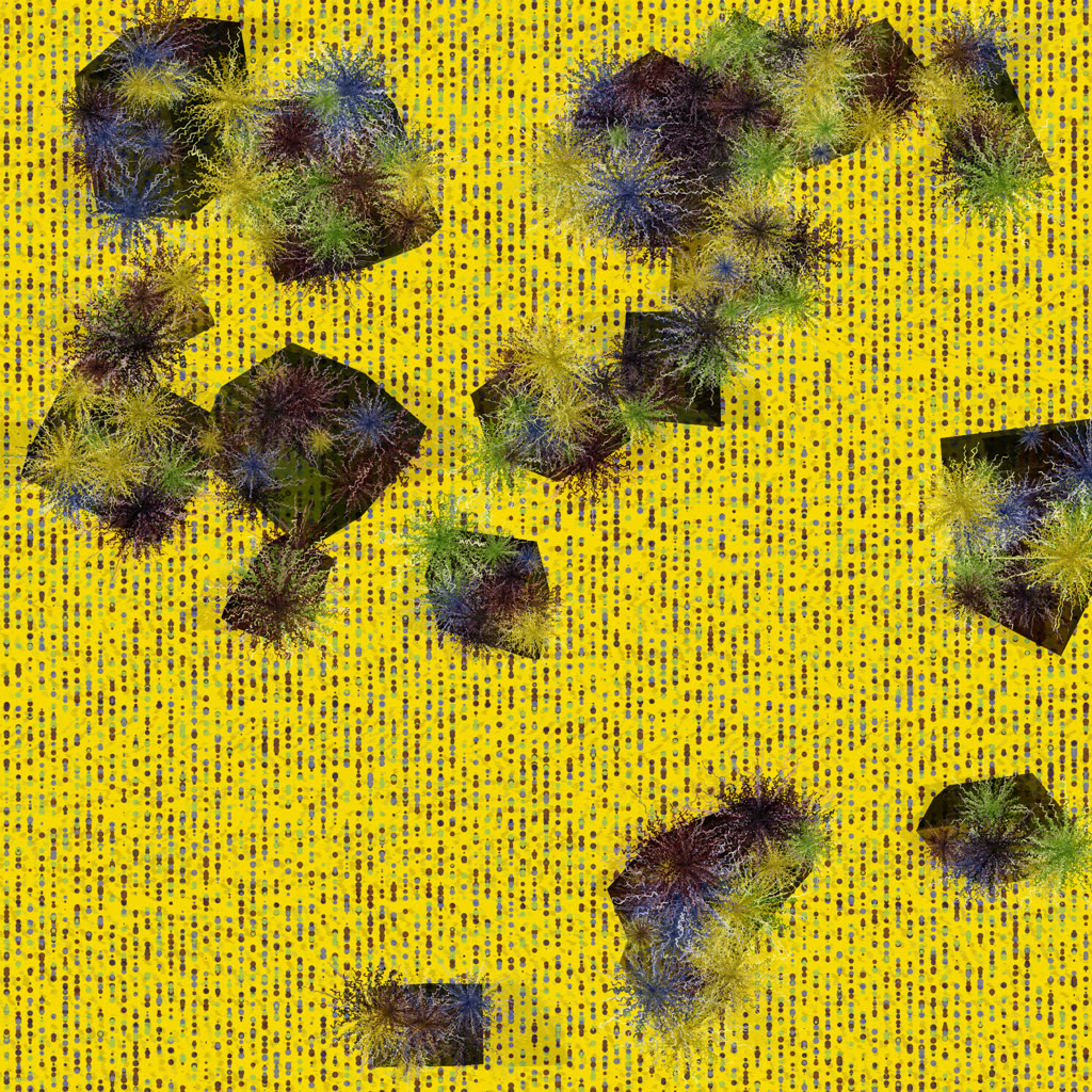STAGE 001 - ITERATION 012